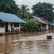 crocodile enters flooded home