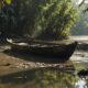 crocodile attack missing child