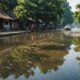 flood cleaning in cengkareng